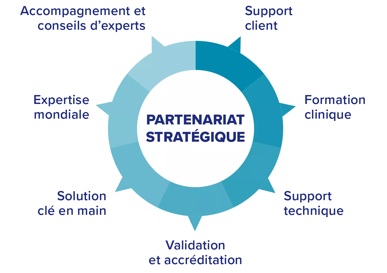 Graphique illustrant un cercle comportant des sections alignées sur des termes clés.